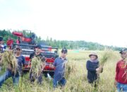 Bersama Masyarakat, Bupati dan Wabup Bolmut Panen Perdana Padi Varietas di Desa Pontak